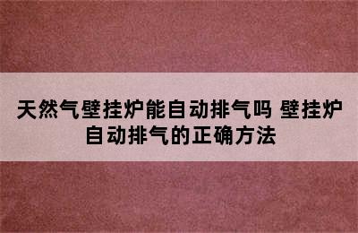 天然气壁挂炉能自动排气吗 壁挂炉自动排气的正确方法